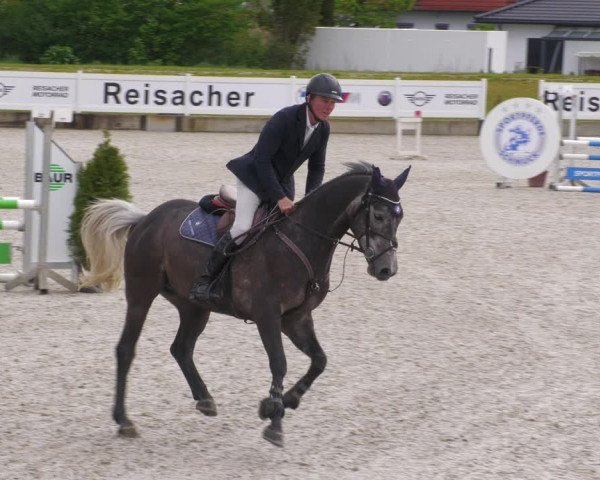 Reitturnier Babenhausen 2023