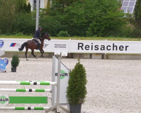 Reitturnier Babenhausen 2023