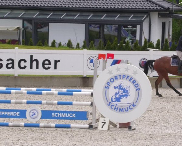 Reitturnier Babenhausen 2023