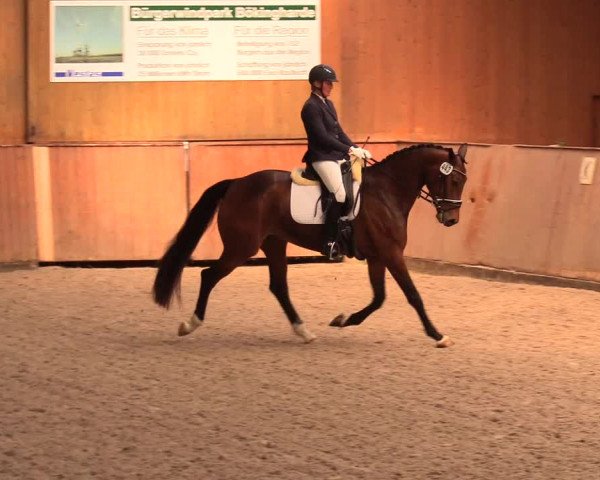 Reitturnier Risum-Lindholm 2023