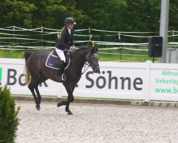 Reitturnier Babenhausen 2023