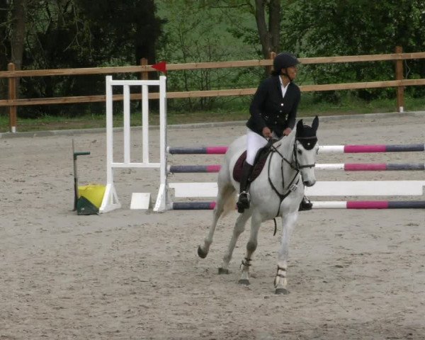 Reitturnier Alvern 2023