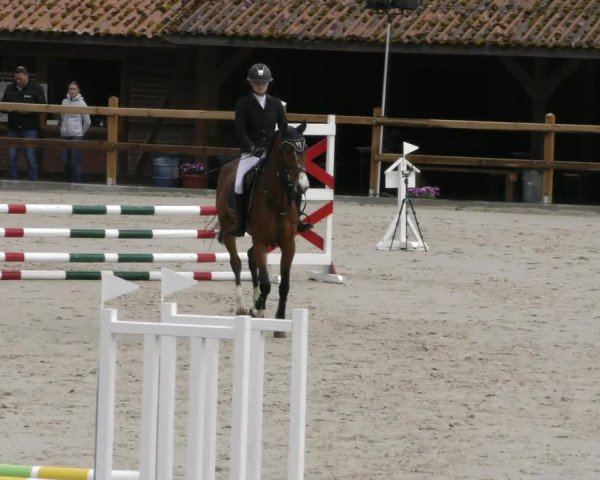 Reitturnier Alvern 2023