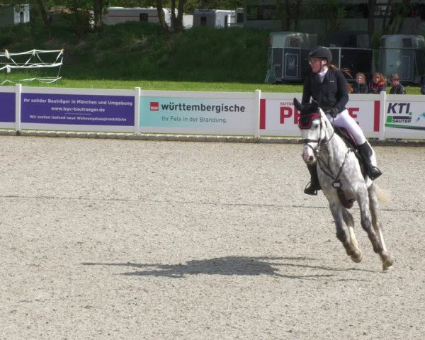 Reitturnier Babenhausen 2023