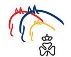 Verband der Pony- und Pferdezüchter Hessen e.V.