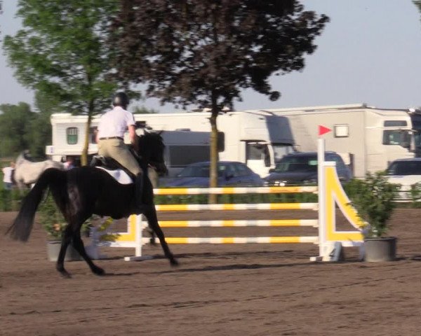 Reitturnier Lentzke - Reitanlage Krehl 2023