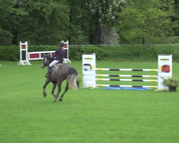 Reitturnier Jülich 2023