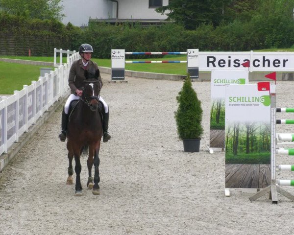 Reitturnier Babenhausen 2023
