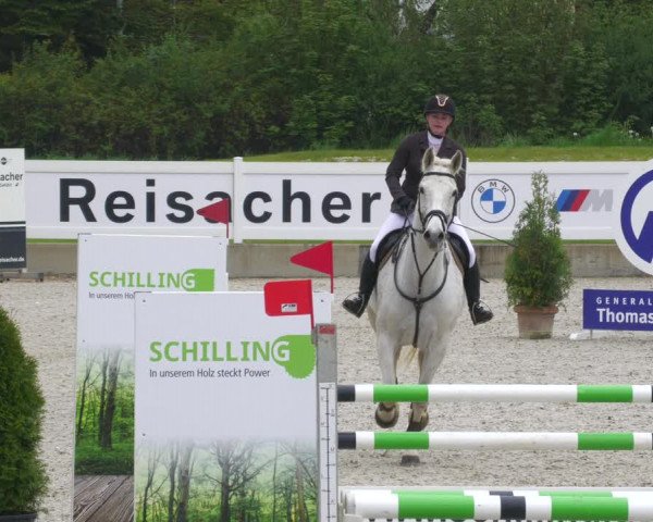 Reitturnier Babenhausen 2023