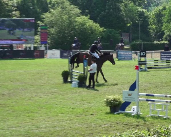 Reitturnier Jülich 2023