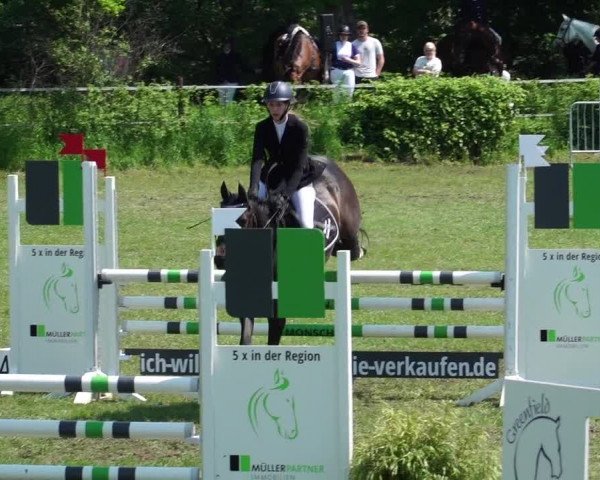 Reitturnier Jülich 2023