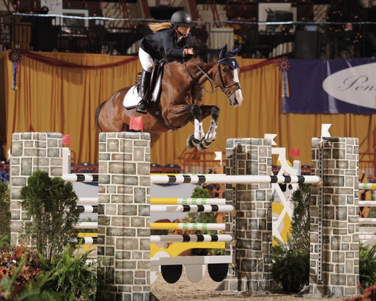 Springpferd Zabel D (KWPN (Niederländisches Warmblut), 2004, von Larino)