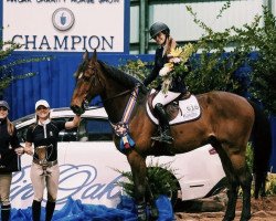 stallion Beaulieu's Think Big (Luxembourg horse, 2002, from Toulon)