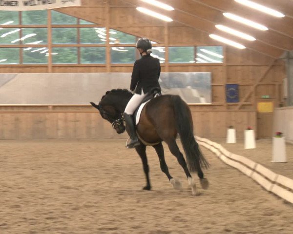Reitturnier Ranzenbach 2023