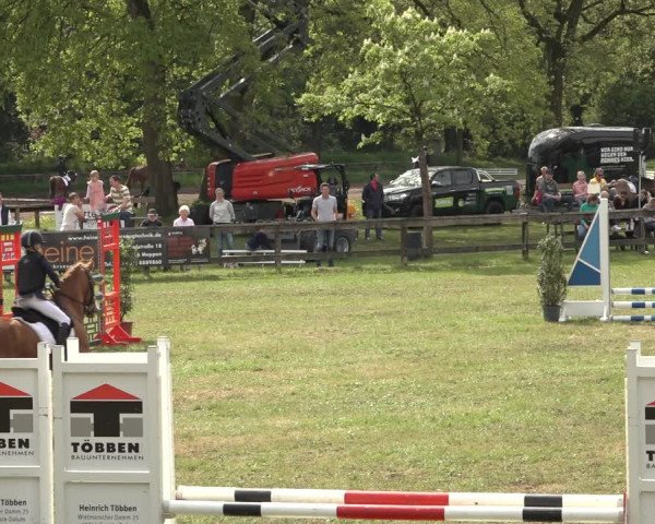 Reitturnier Meppen 2023