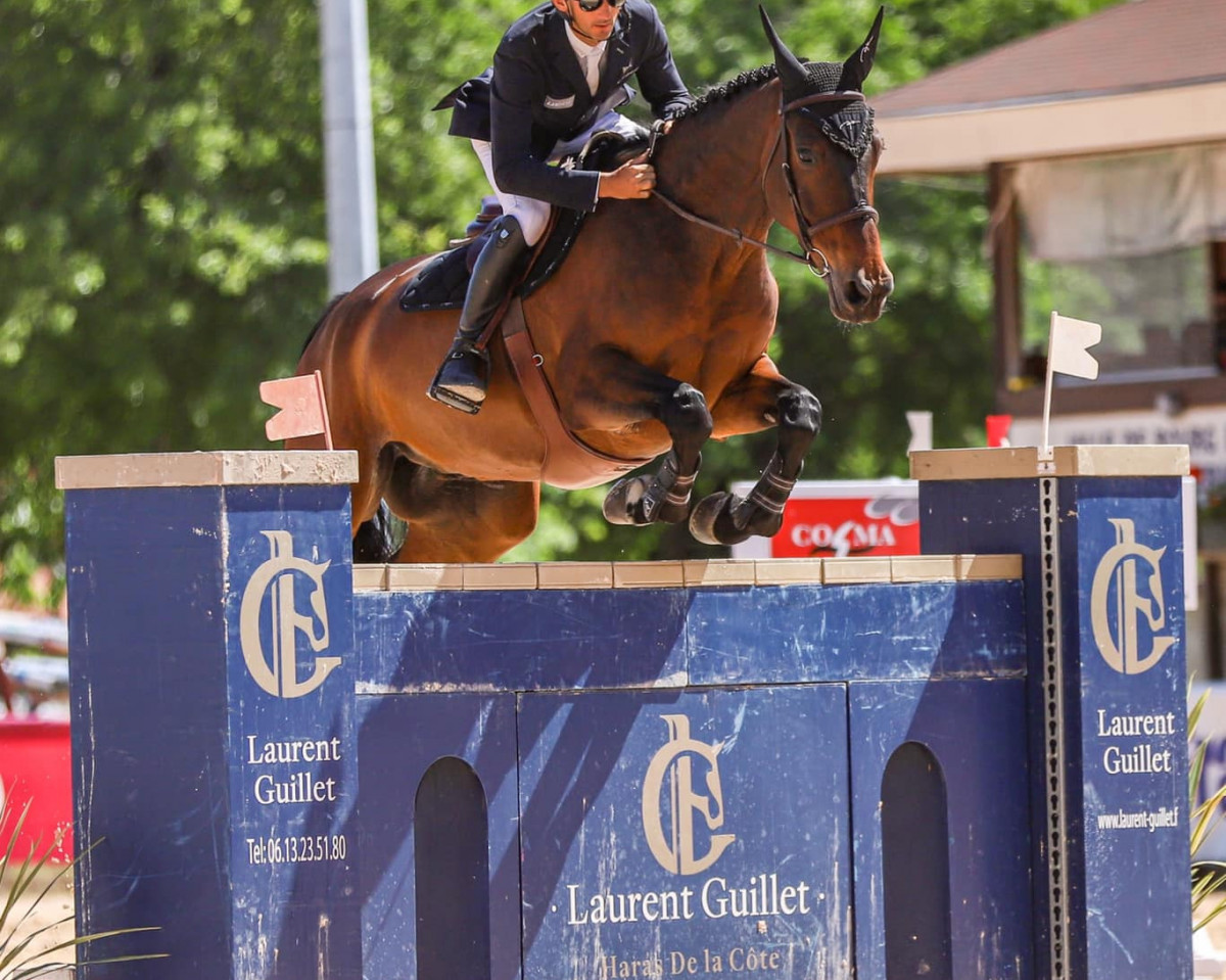Springpferd Casting de La Wantz (Selle Français, 2012, von Kannan)