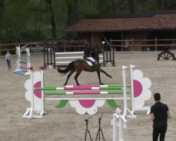 Reitturnier Alvern 2023