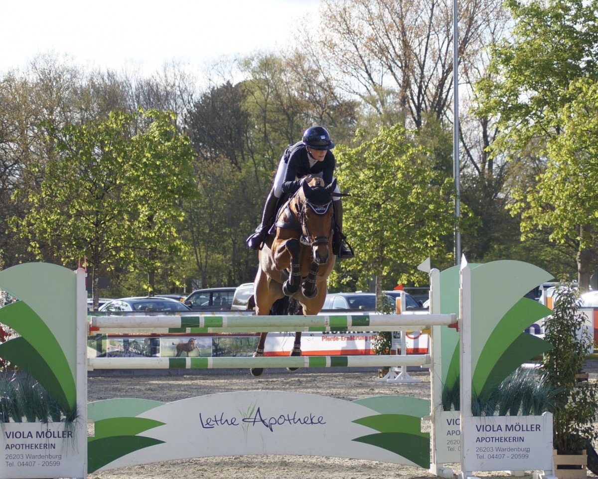 jumper Narnia's Beste (Oldenburg, 2012, from Zapateado 128 FIN)