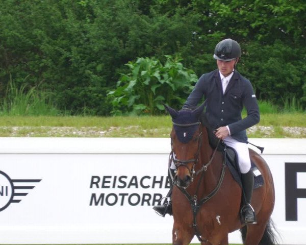 Reitturnier Babenhausen 2023