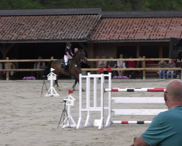 Reitturnier Alvern 2023