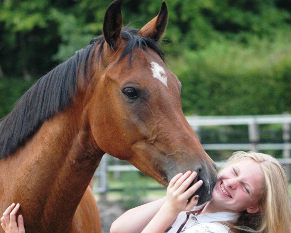 Springpferd Cashew W (Hannoveraner, 2010, von Conteur)