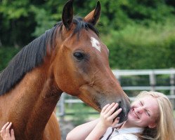 jumper Cashew W (Hanoverian, 2010, from Conteur)