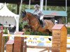 jumper Macao (Oldenburg show jumper, 2007, from Baloubet du Rouet)