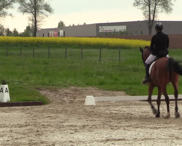 Reitturnier Röhrsdorf/ Chemnitz 2023
