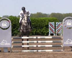 broodmare Kasamona K (German Sport Horse, 2018, from Kasanova de La Pomme)