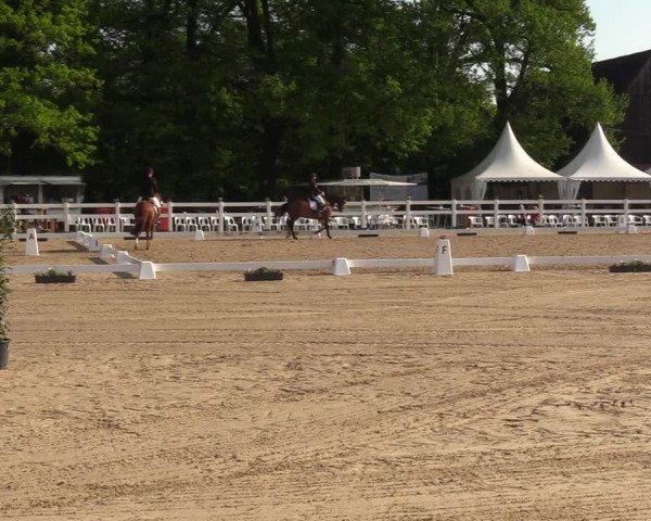 Reitturnier Münster-Angelmodde 2023