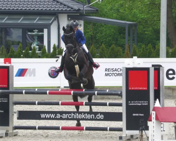 Reitturnier Babenhausen 2023