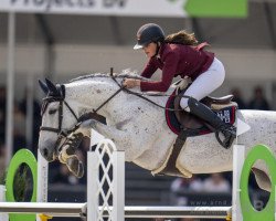 jumper Dos Lunas Galaxie (Argentinian horse, 2011)