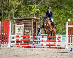 broodmare Grenzhoehes Amely (German Riding Pony, 2014, from Grenzhoehes Moustache)