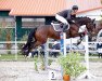 jumper Dunkelbunt Rb (German Riding Pony, 2015, from Donchester)