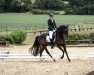 dressage horse Vitus 74 (Pony without race description, 2007)