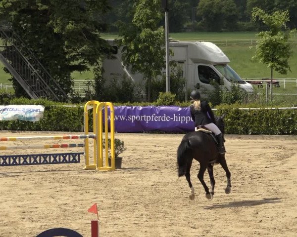 Reitturnier Bornheim Widdig 2023