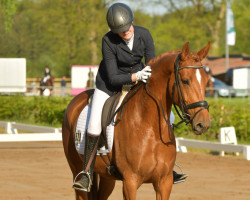 dressage horse Favourite Caretta (Hanoverian, 2018, from Feuertanz)