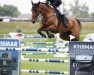 jumper Chloe (Oldenburg show jumper, 2014, from C-Ingmar)