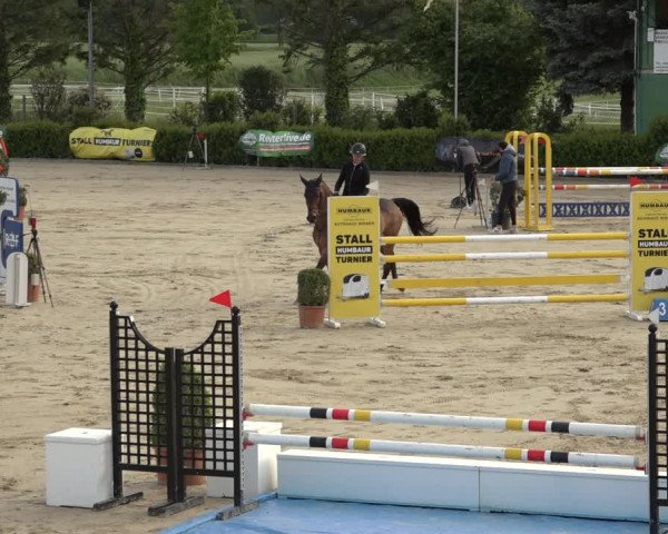 Reitturnier Bornheim Widdig 2023