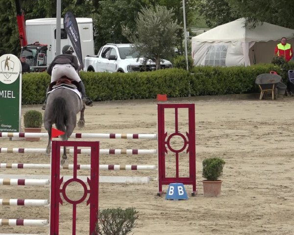 Reitturnier Bornheim Widdig 2023