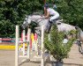 jumper Diabolo de Luxe (Oldenburg show jumper, 2015, from Diacontinus)