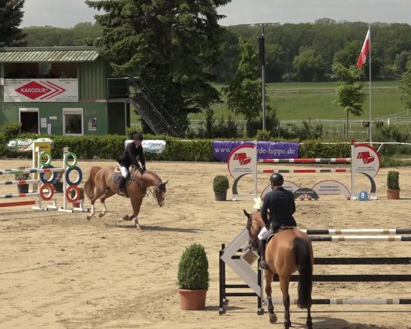 Reitturnier Bornheim Widdig 2023