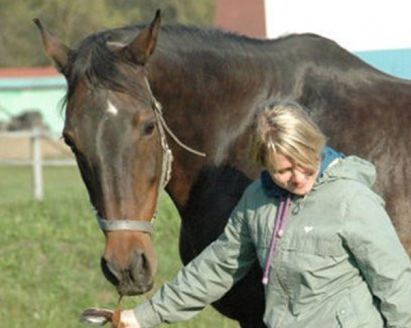 broodmare Zaira 2 (Holsteiner, 1991, from Calando I)