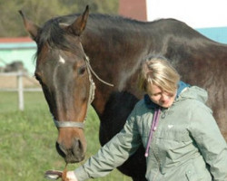 Zuchtstute Zaira 2 (Holsteiner, 1991, von Calando I)