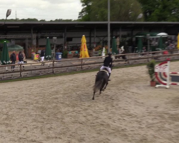 Reitturnier Kirchhellen 2023