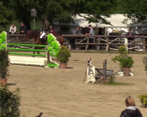 Reitturnier Kirchhellen 2023