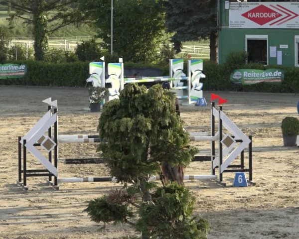 Reitturnier Bornheim Widdig 2023