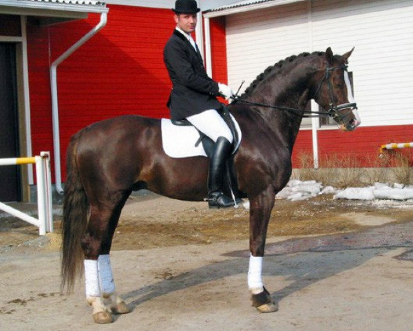 stallion Paco Rabanne 94 FIN (Westphalian, 1991, from Pluspunkt)
