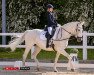 dressage horse Fee Ferra (Westphalian, 2006, from Flovino)