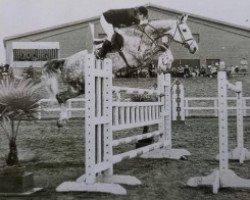 broodmare Karielle (Selle Français, 1976, from Uriel)